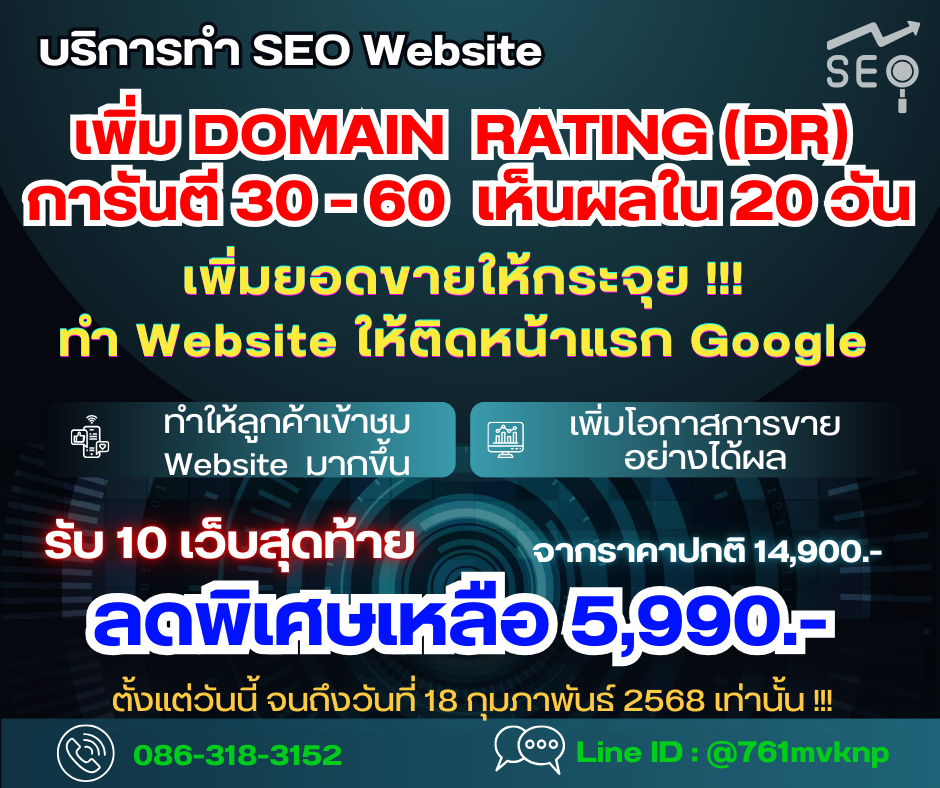 บริการรับทำ SEO Website : เพิ่มคะแนน Domain Rating DR บริการรับทำ SEO Website : เพิ่มคะแนน Domain Rating DR
